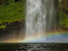 Cascata das Andorinhas e Chuvisqueiro - Riozinho e Rolante - RS